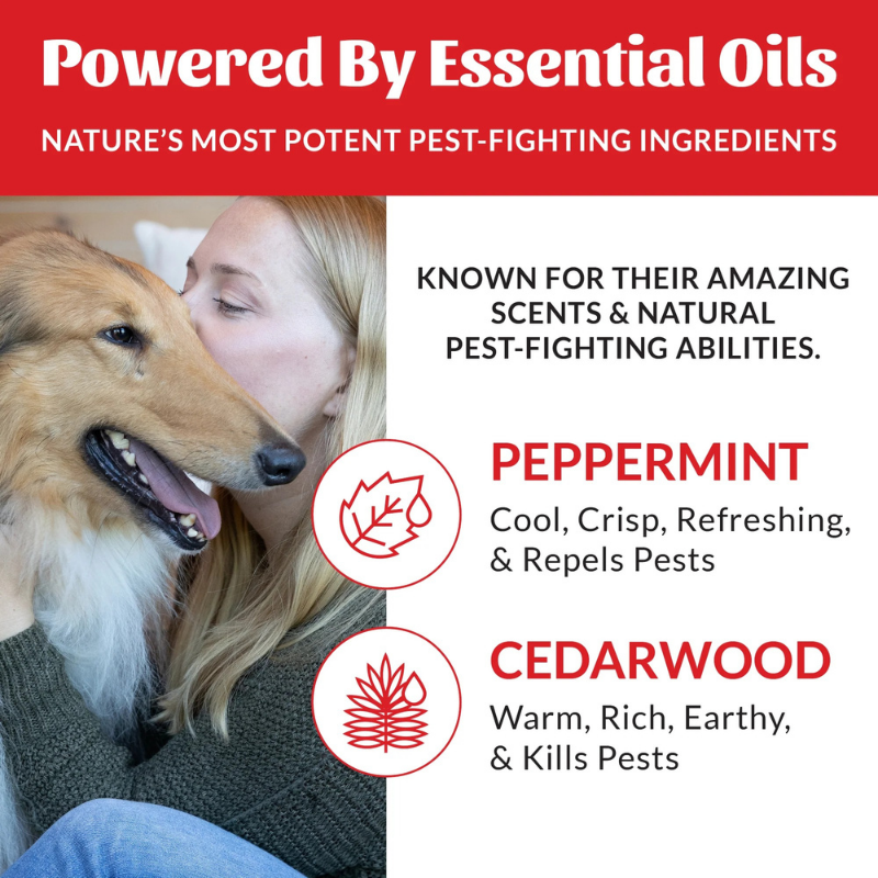 Furville Flea and Tick Shampoo