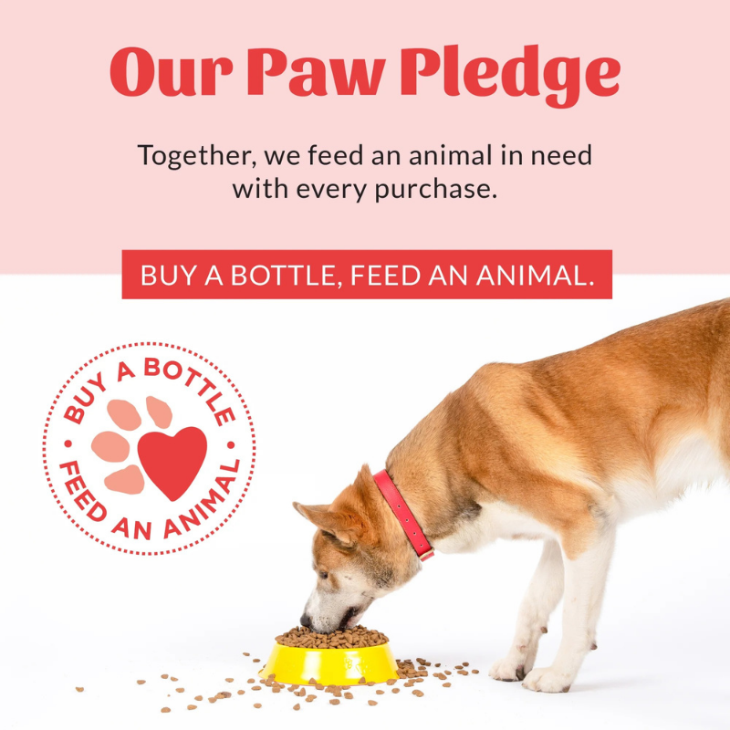 SKOUT'S HONOR Probiotic Dog Ear Cleaner
