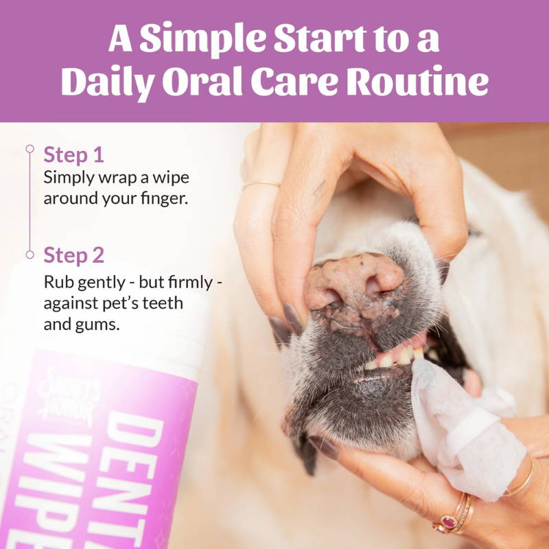 Furville Dental WIpes Easy to use