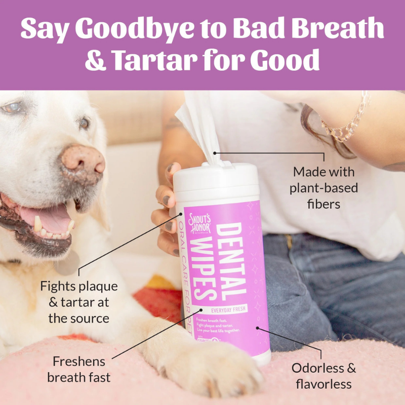 Furville Dental WIpes Easy to use
