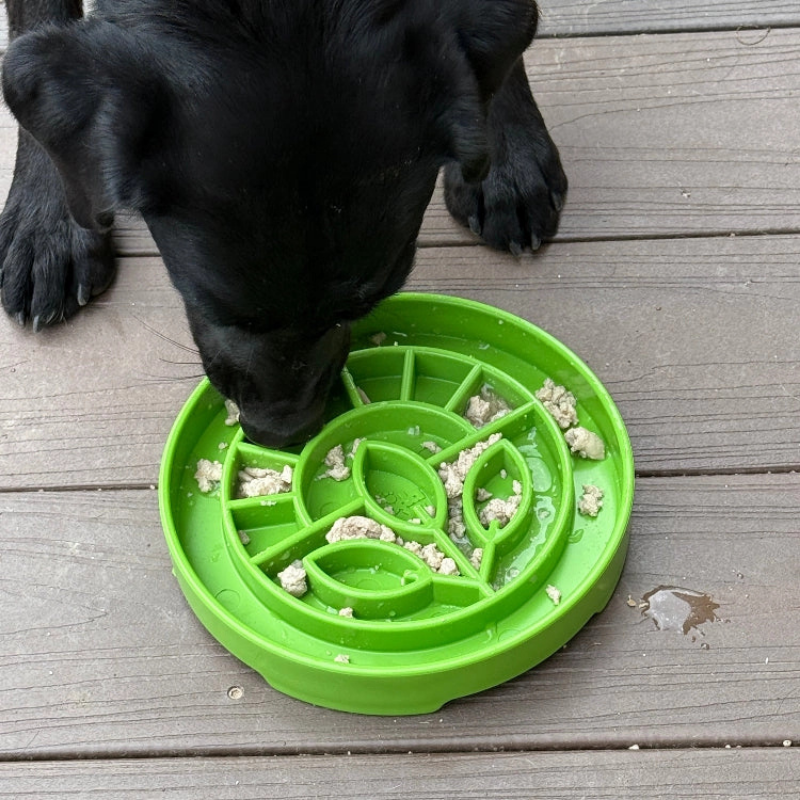 Furville Slow Feeders