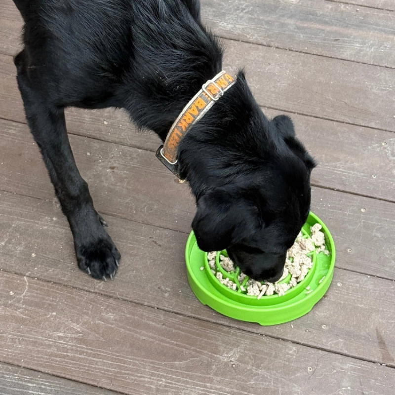 Furville Slow Feeders