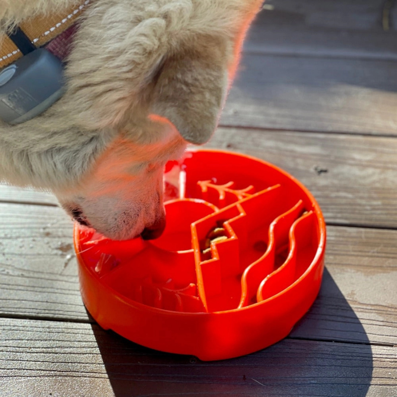 Furville Slow Feeders Silicone