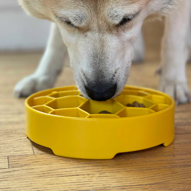 Furville SLow Feeders