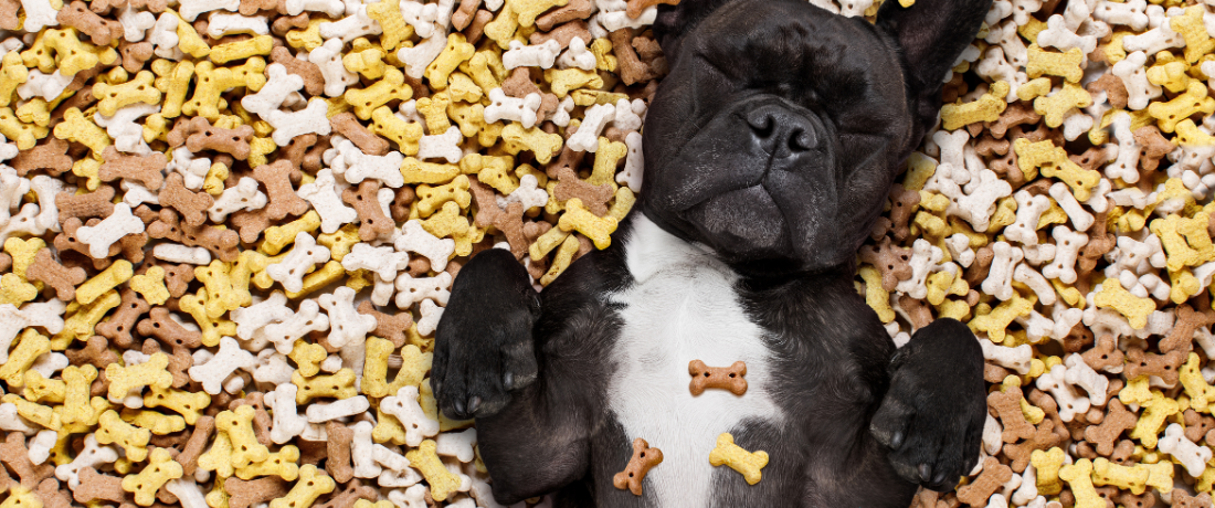 Furville Pet Supplies