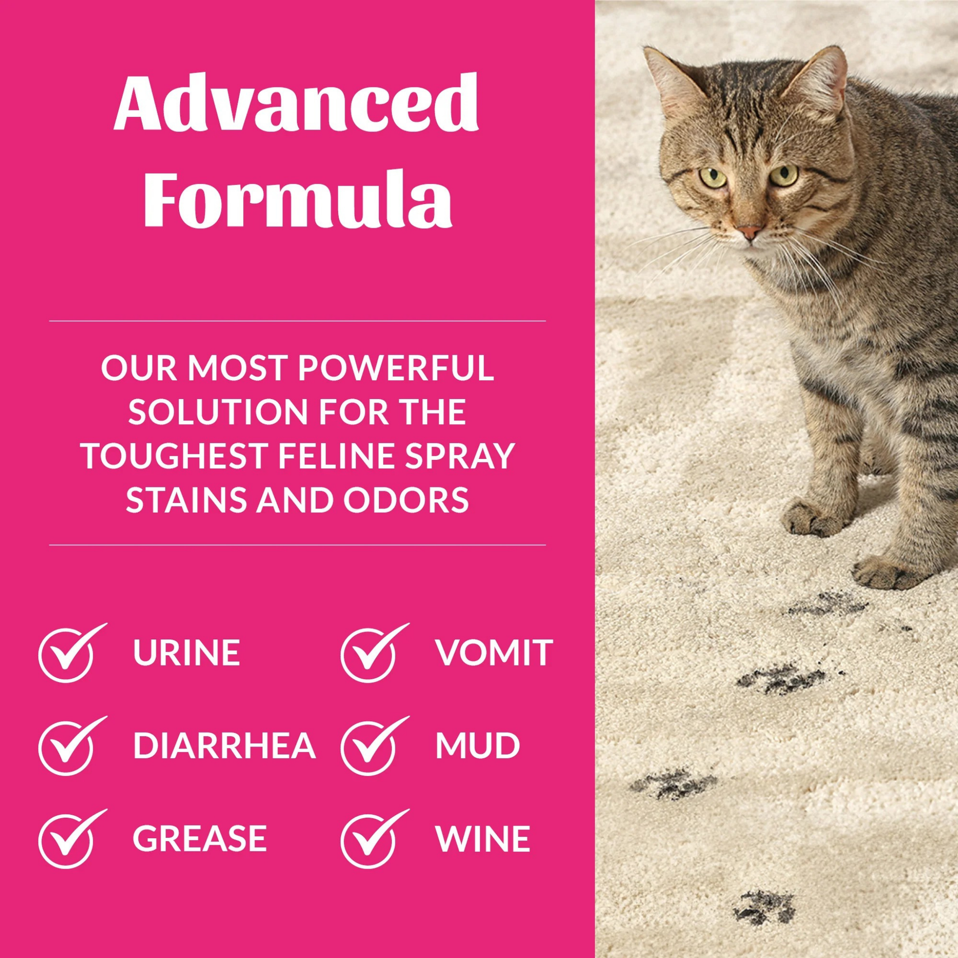 Furville Skouts Honor Severe Mess Cats