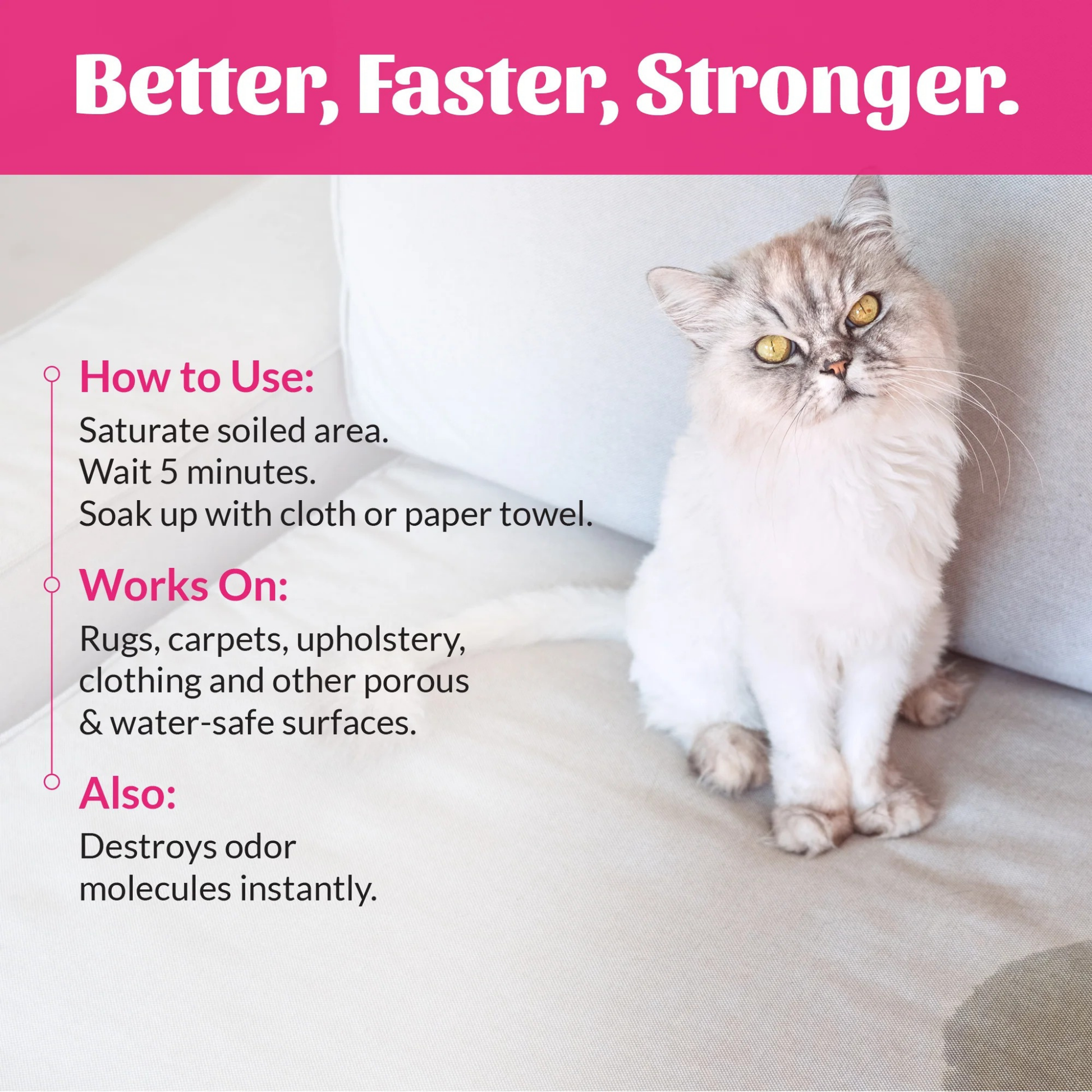 Furville Skouts Honor Severe Mess Cats
