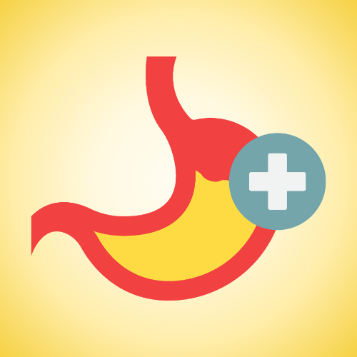 Digestive Support