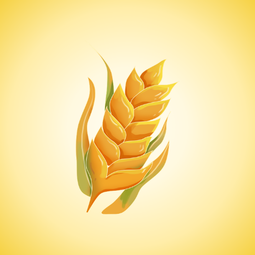 Grain Inclusive