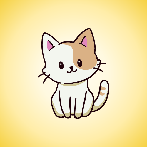 Kitten