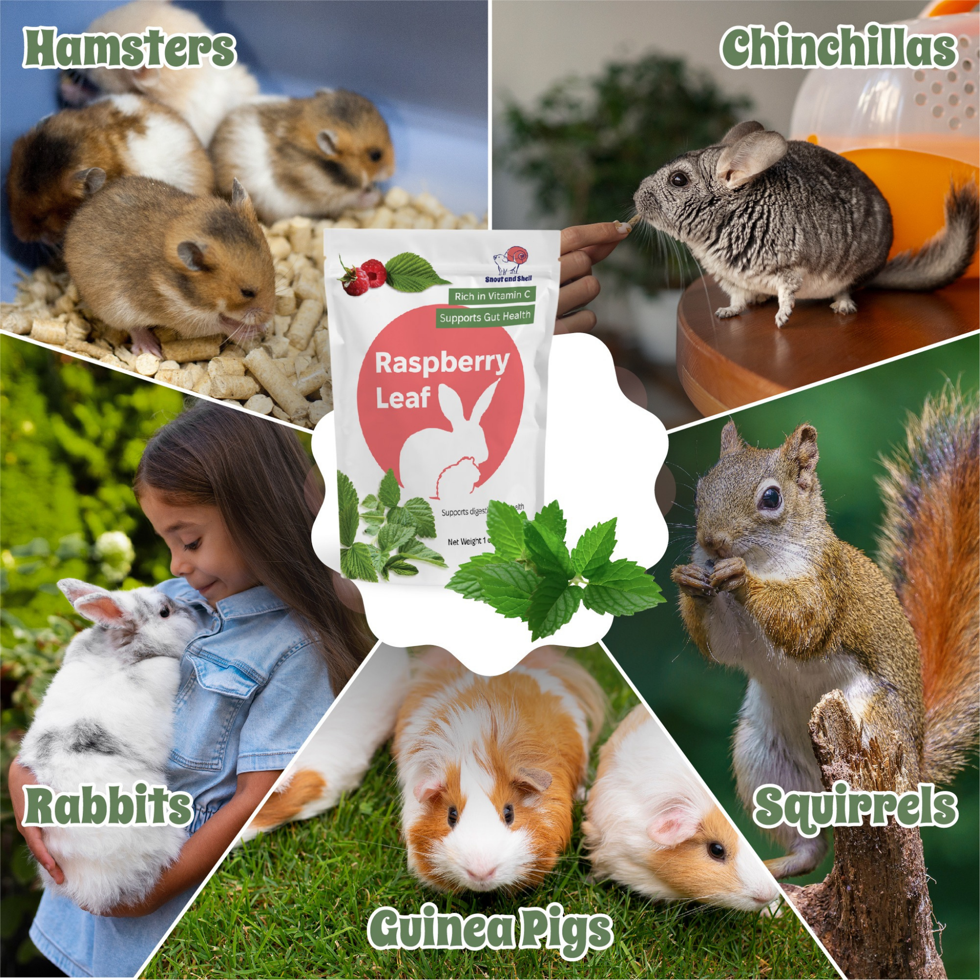 Furville Raspberry leaf Small Animals Food