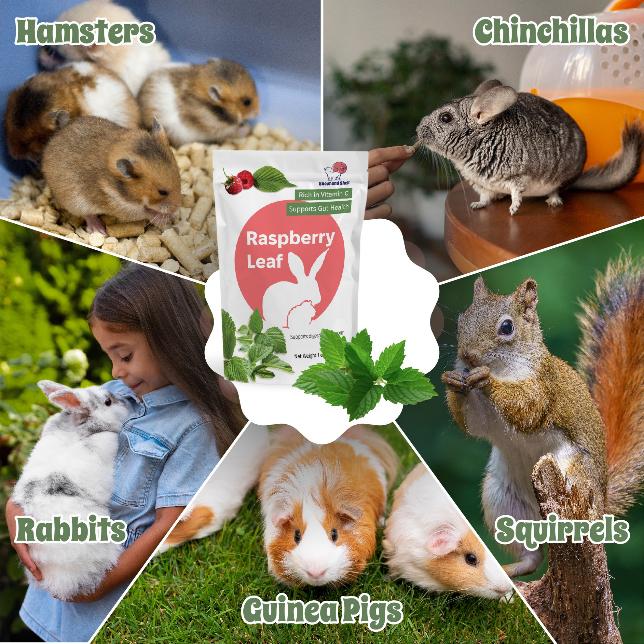 Furville Raspberry leaf Small Animals Food