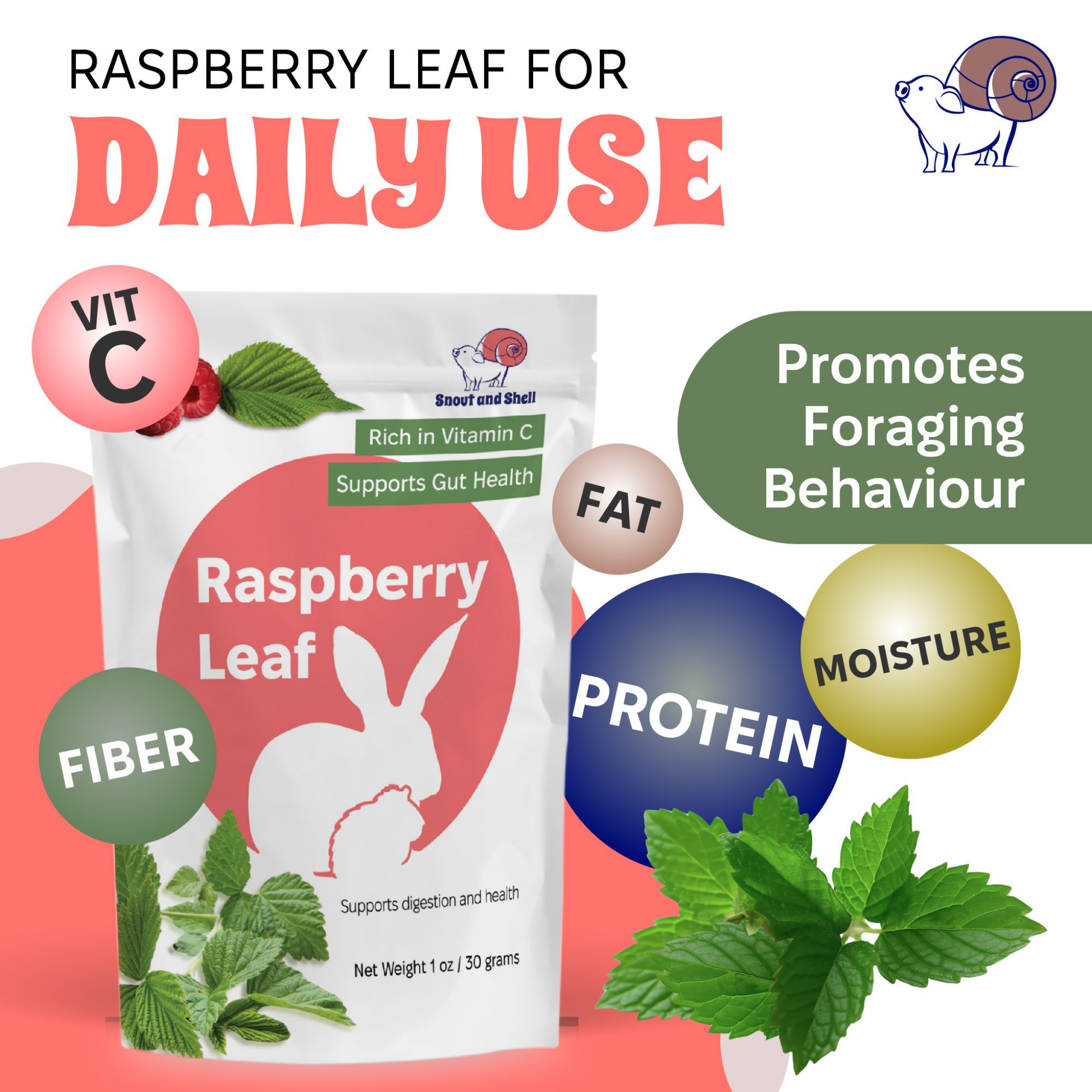 Furville Raspberry leaf Small Animals Food