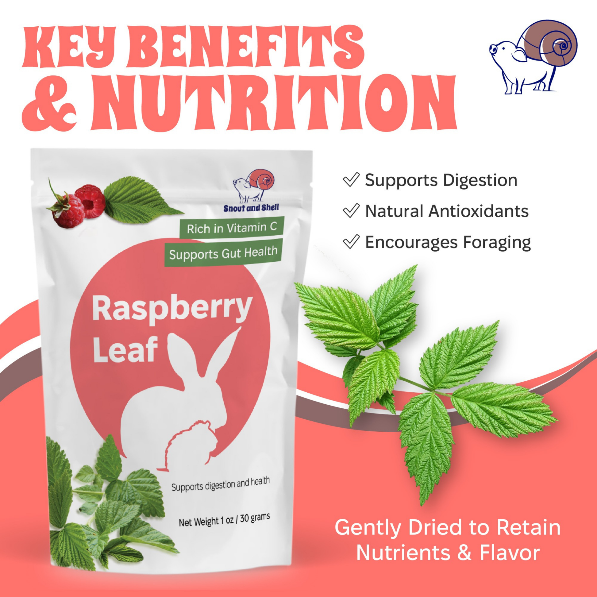 Furville Raspberry leaf Small Animals Food