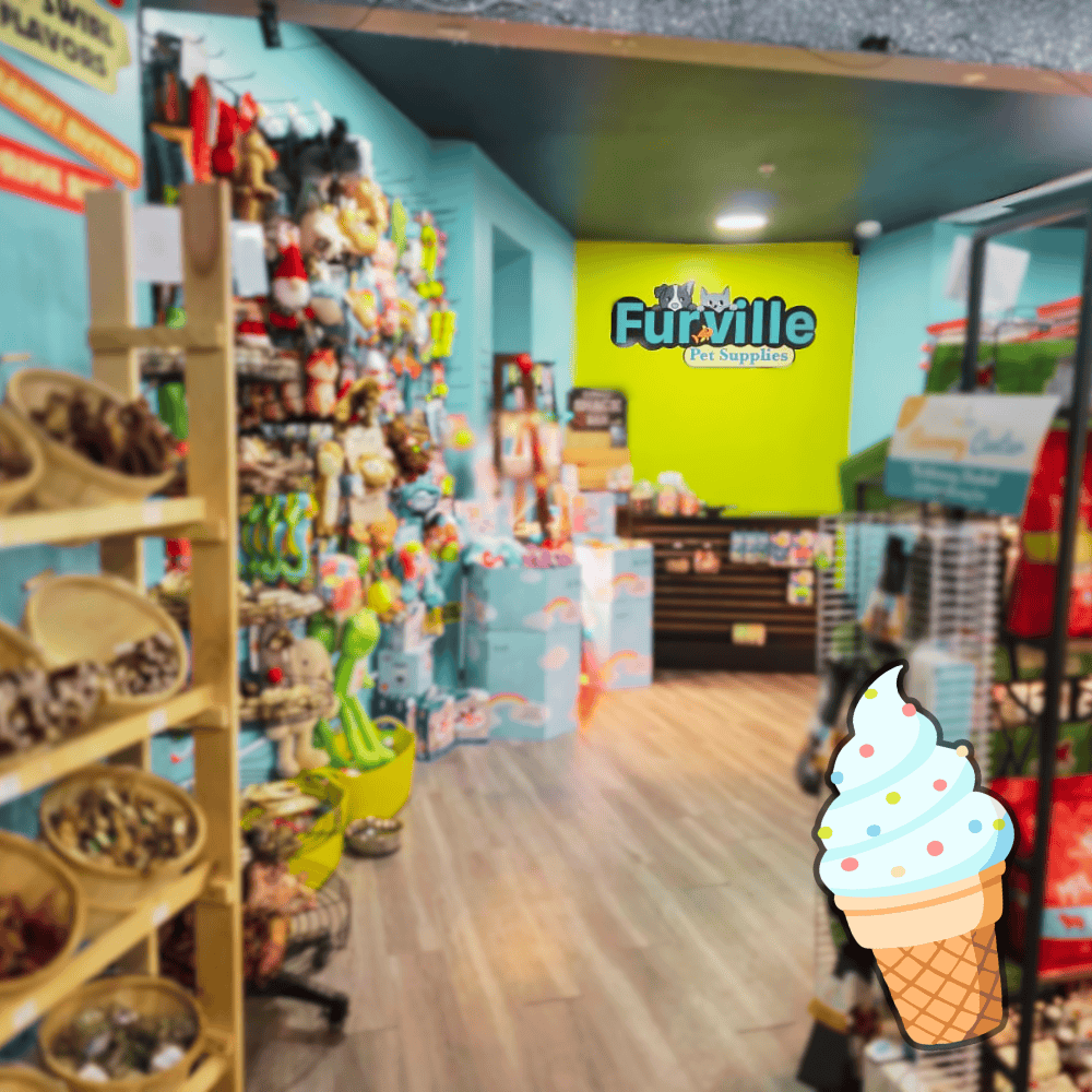Explore in-store