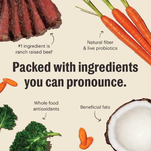 Furville Honest Kitchen Beef