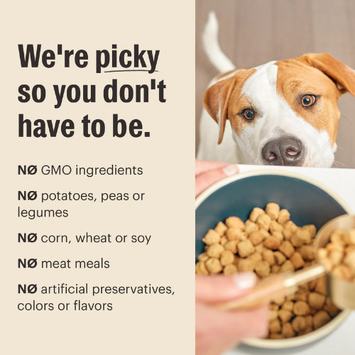 Furville The Honest Kitchen Puppy Clusters