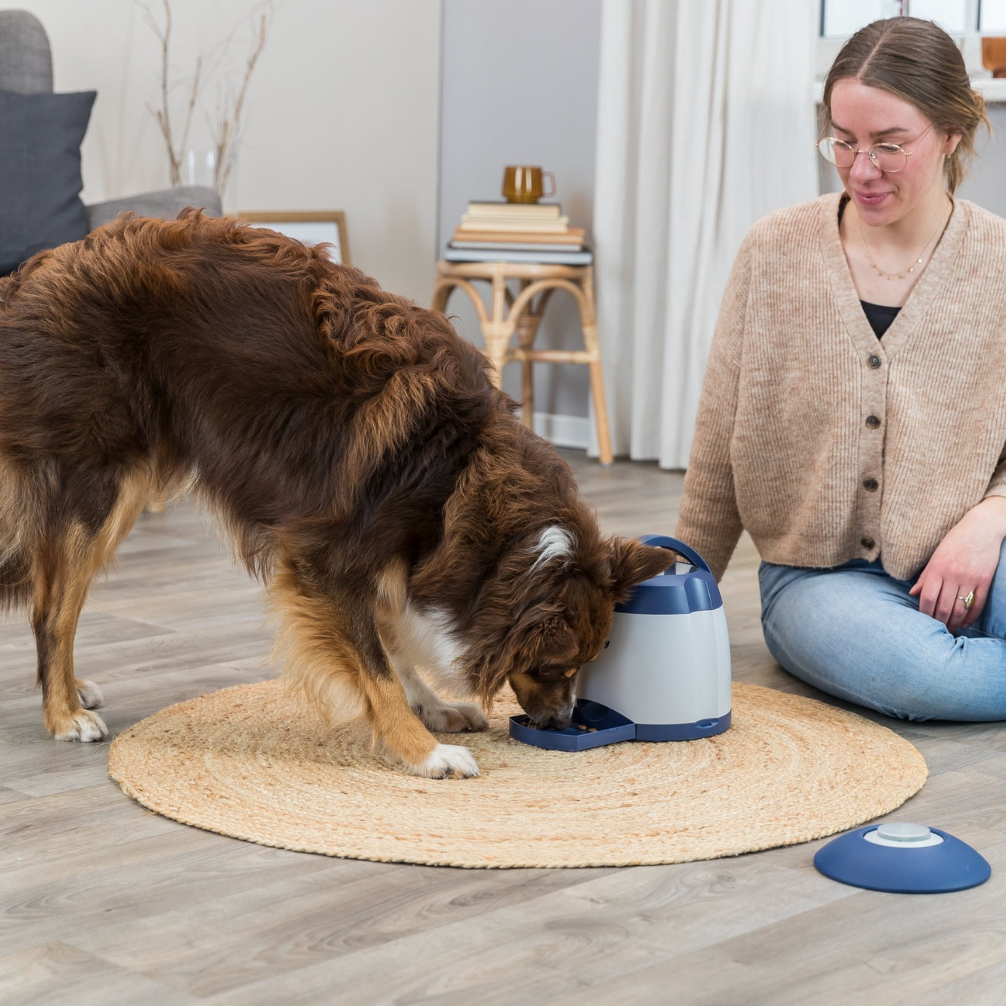 Furville Memory Trainer