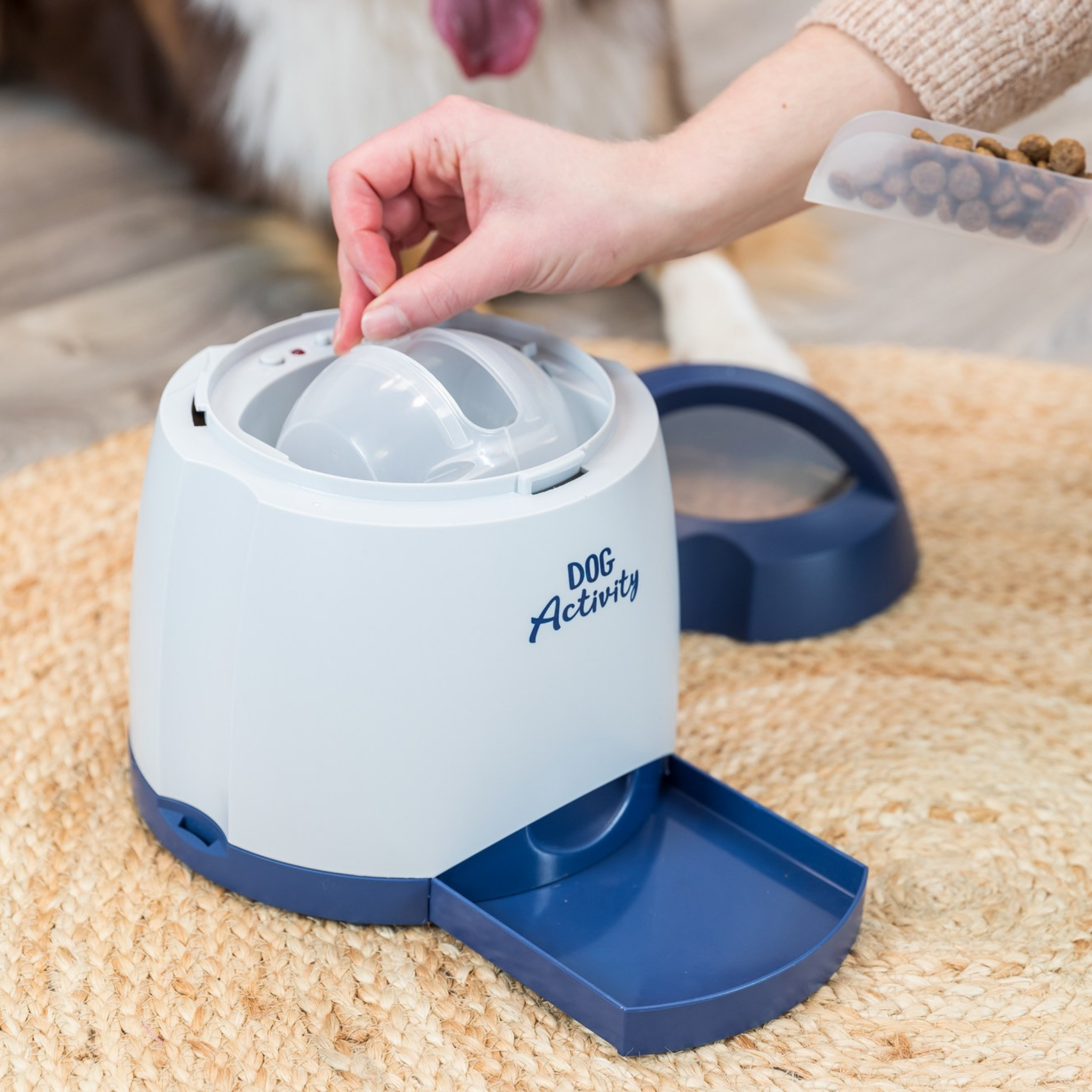 Furville Memory Trainer