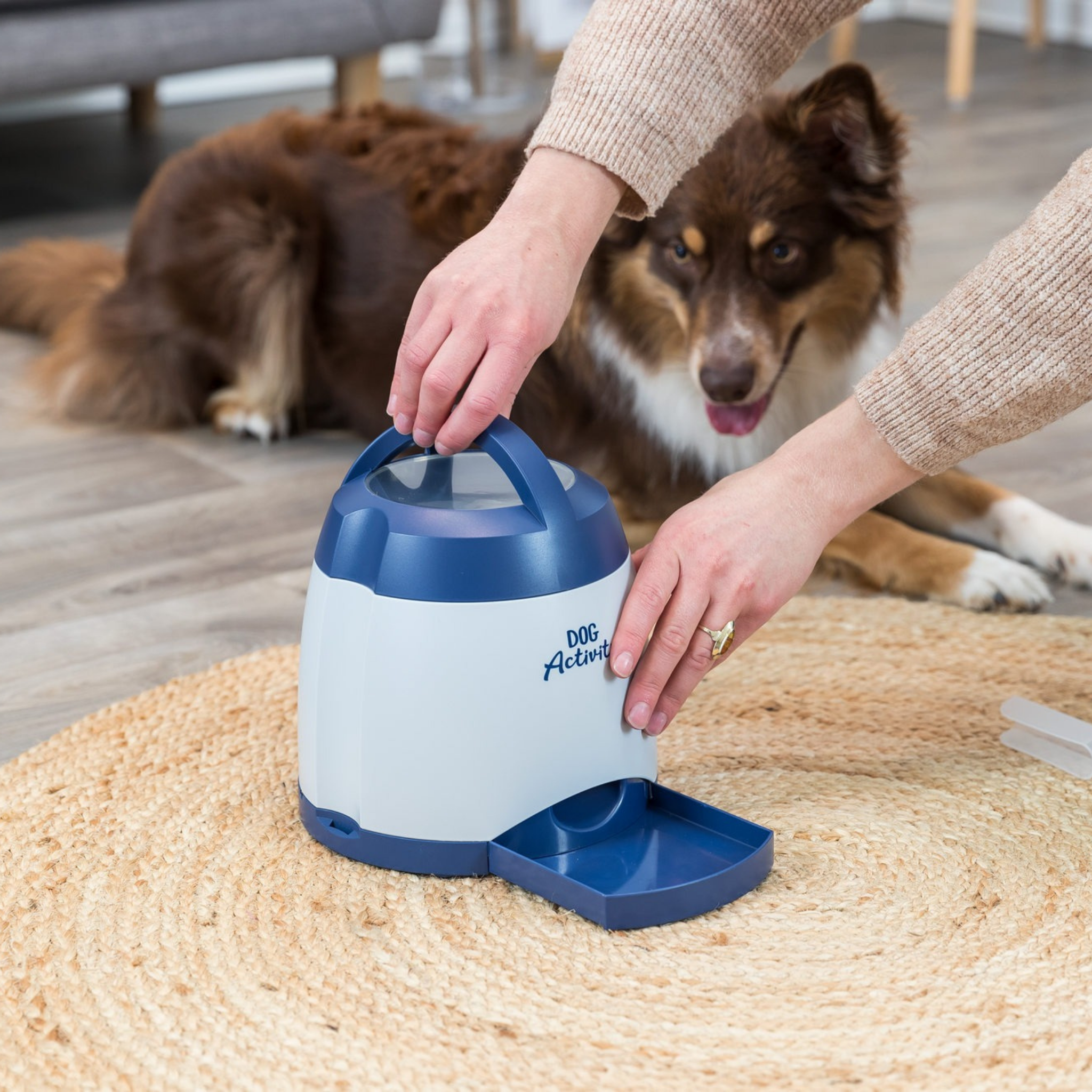 Furville Memory Trainer