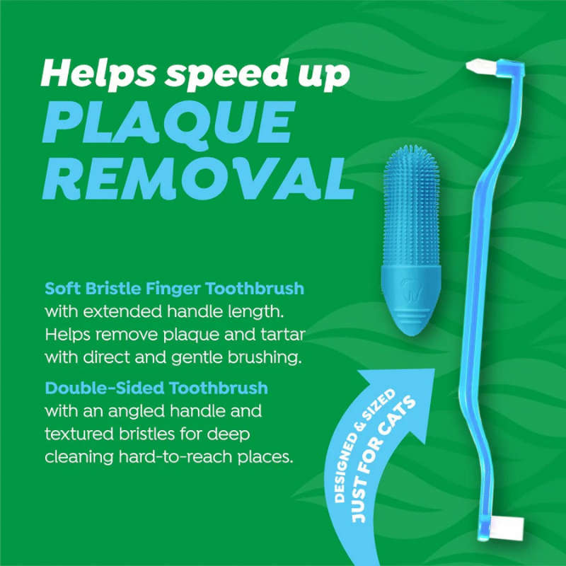 Furville Cat Brush and Toothpaste