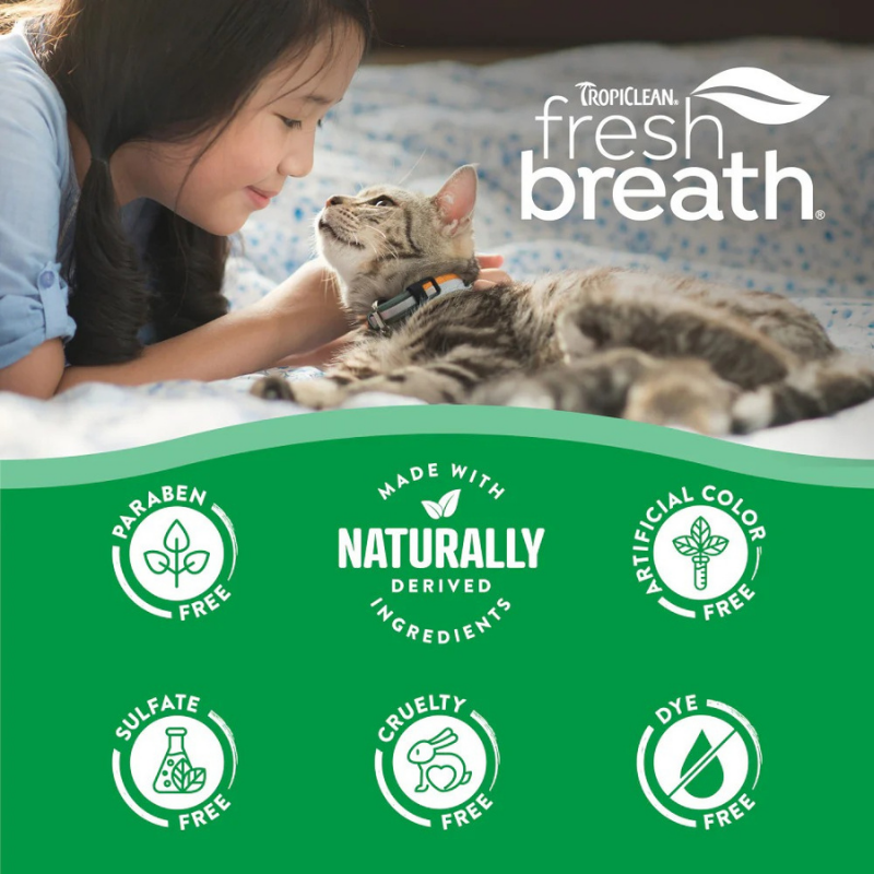 Furville Cat Brush and Toothpaste