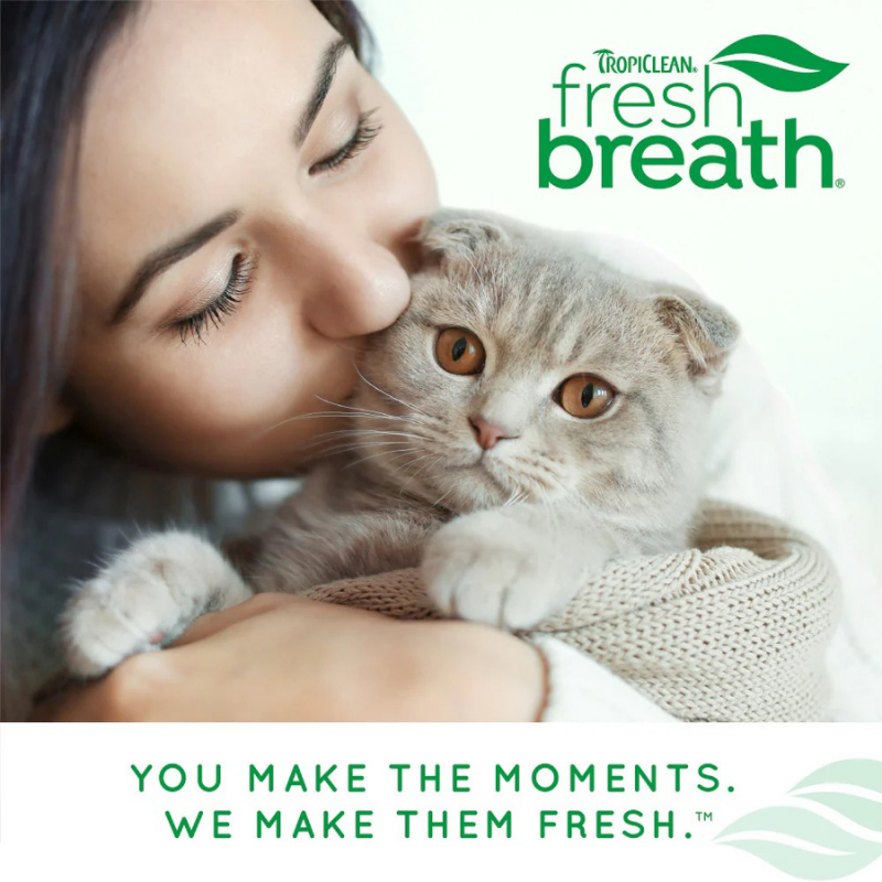 Furville Cat Brush and Toothpaste