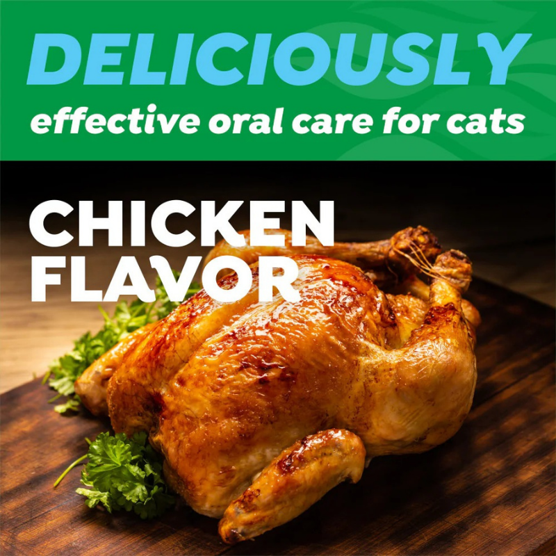 Furville Cat Brush and Toothpaste