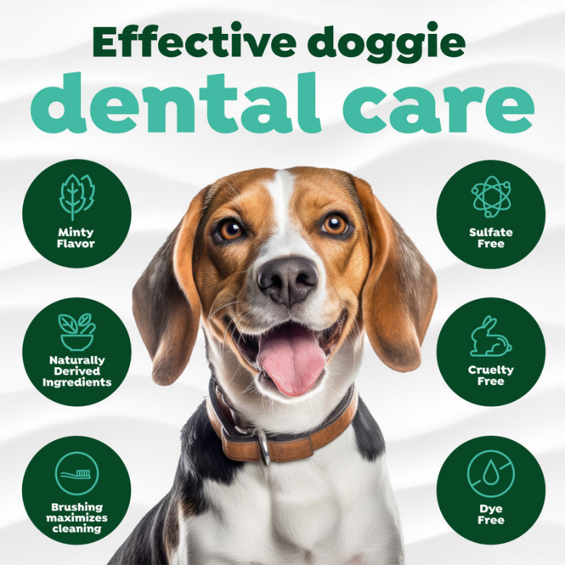 Furville Dog Dental kit