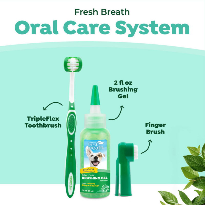 Furville Dog Dental kit