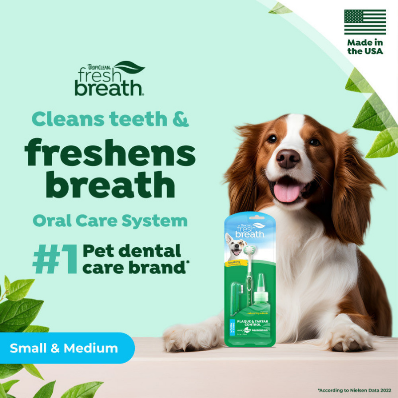 Furville Dog Dental kit