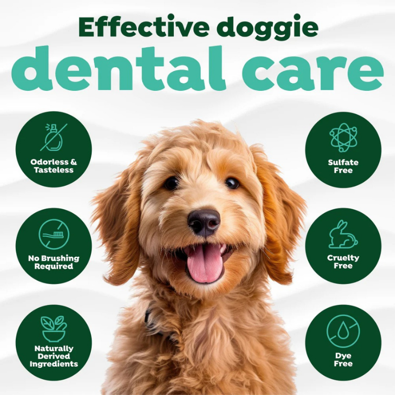 Furville Dental Water Additive