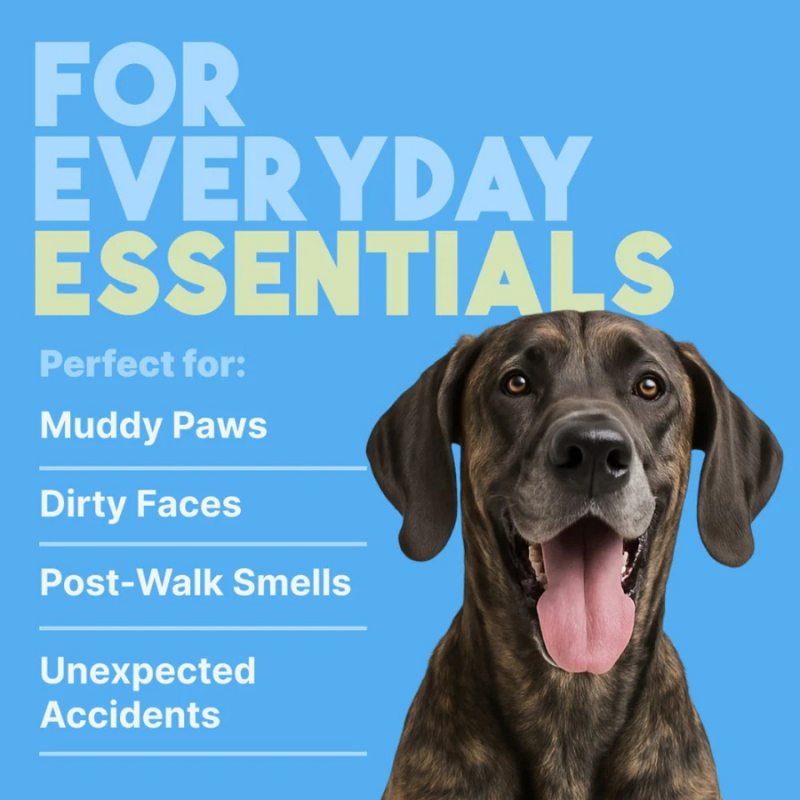 Furville Hypoallergenic Wipes