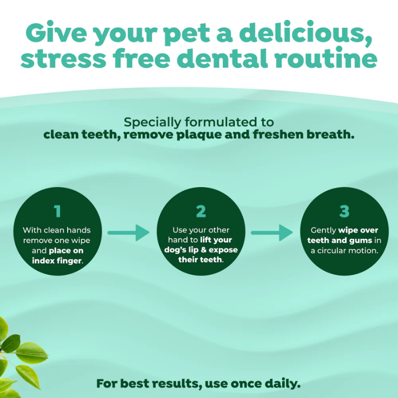 Furville Dental Wipes