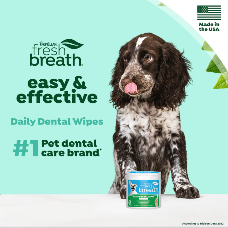 Furville Dental Wipes