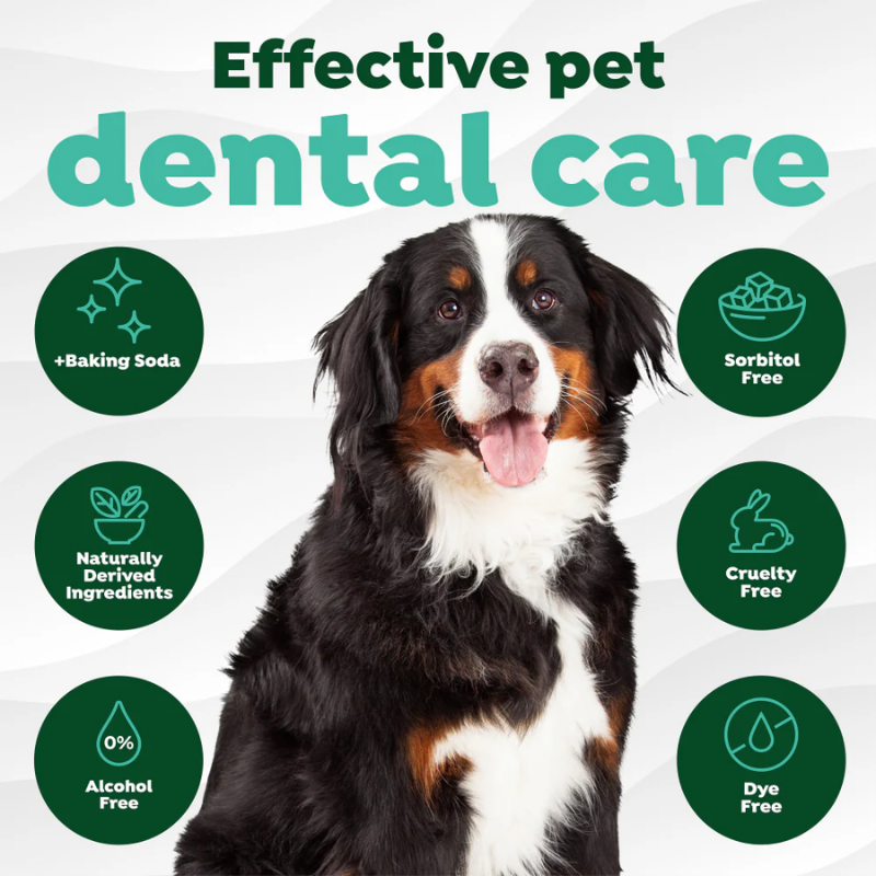 Furville Dental Wipes