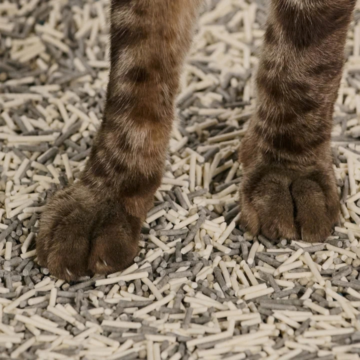 Furville Tofy and bentonite Tuft and Paw Really Great Cat Litter