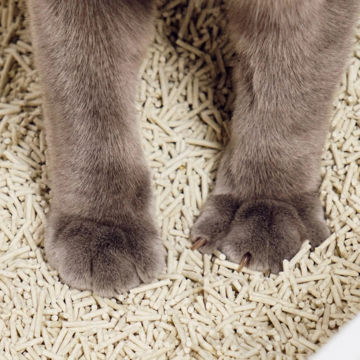 Furville Tofu Cat Litter Really Great Cat litter