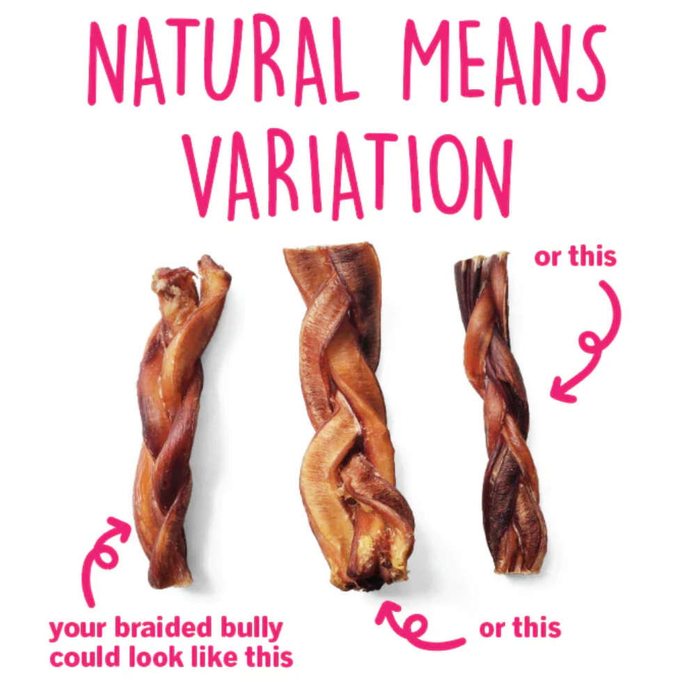 Furville Thick braided bully