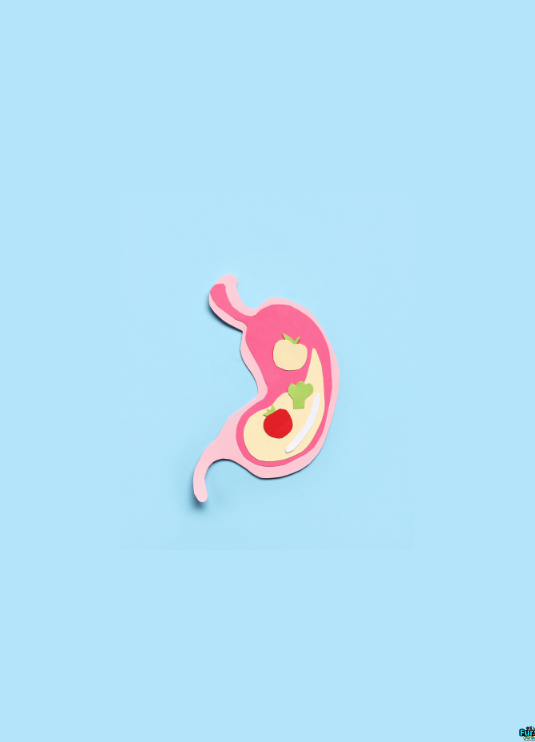 Furville Pet Supplies