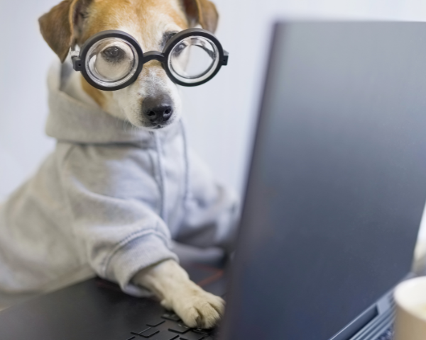 Smarter Tools, Better Service