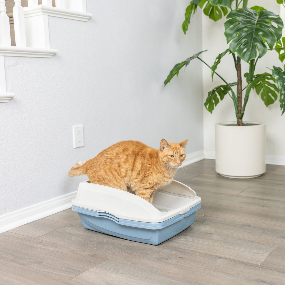 Furville Sifting Litter Pan