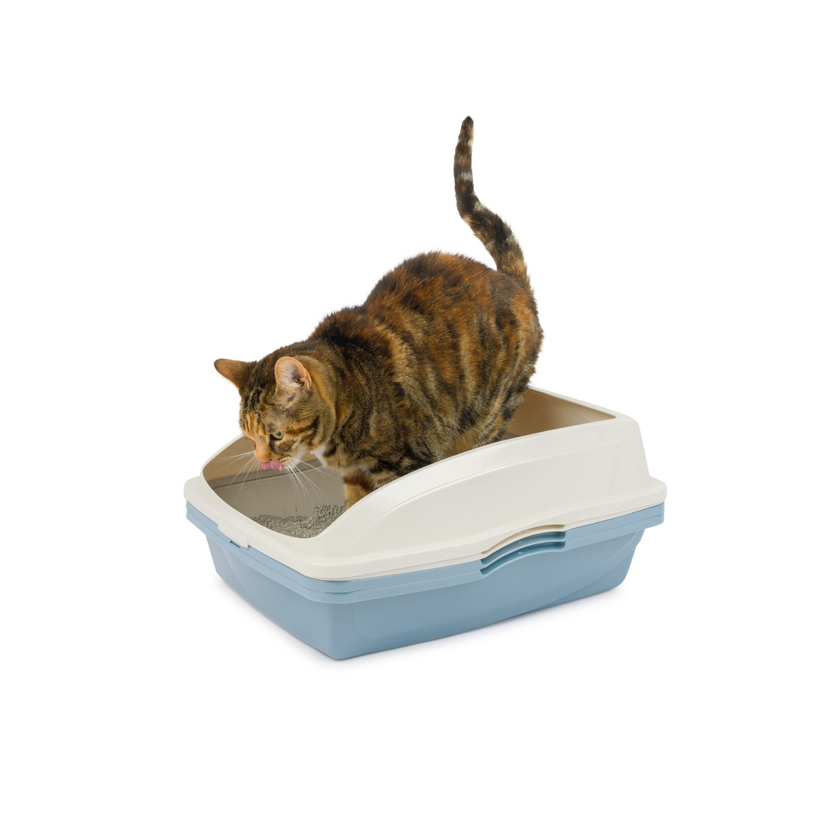 Furville Sifting Litter Pan