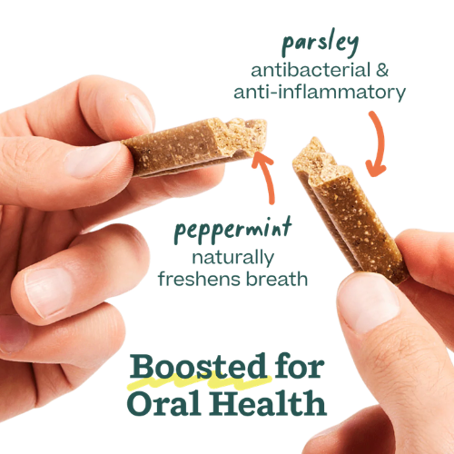 WOOF Dog - Bite N' Brush Beef Sticks Refills Dental Treats 8 oz