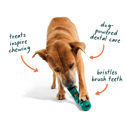 WOOF Dog - Bite N' Brush Beef Sticks Refills Dental Treats 8 oz