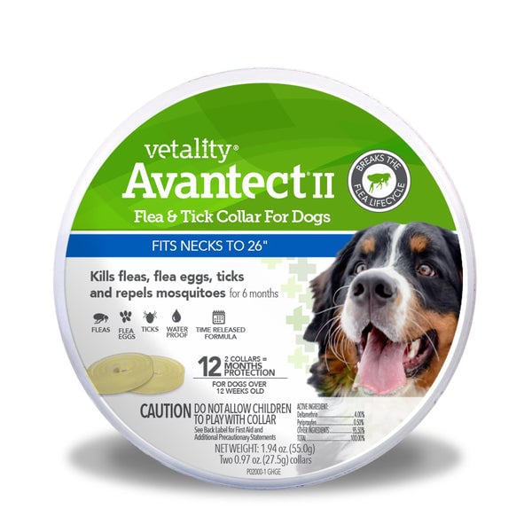 Avantect II Flea & Tick Collar for Dogs - 12 month protection - Fits neck upto 26"