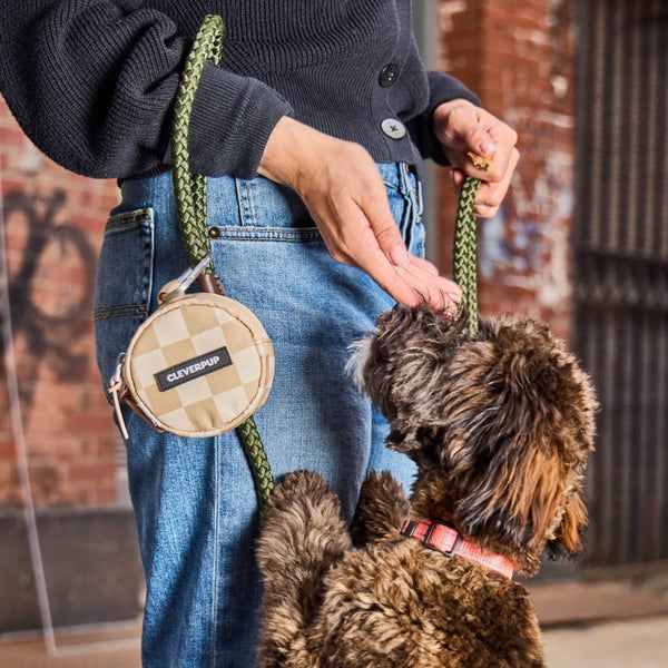 CLEVERPUP Dog - Snackpack Double Insulated Treat Pouch