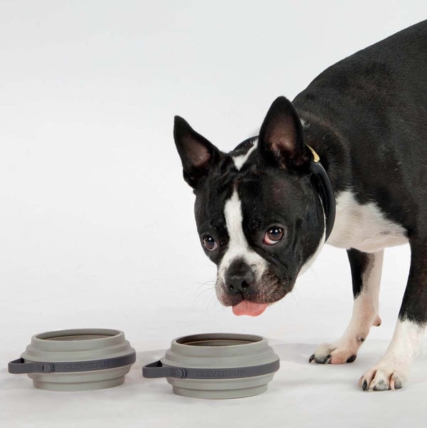 CLEVERPUP - Nomad Collapsible Bowl - Small