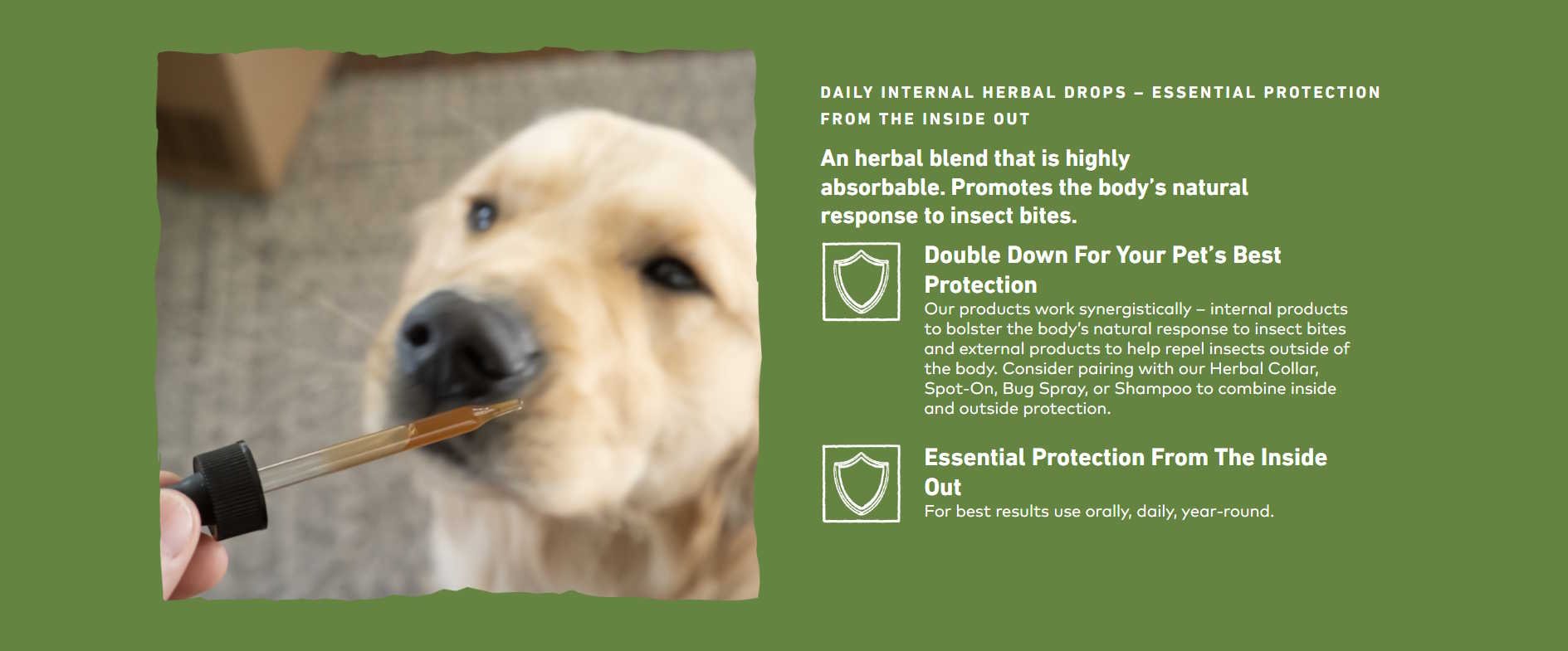EARTH ANIMAL DOG APOTHECARY NATURAL FLEA & TICK DAILY INTERNAL HERBAL DROPS 2OZ