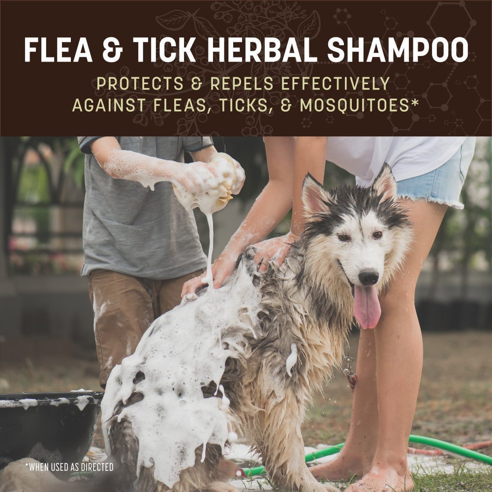 EARTH ANIMAL DOG APOTHECARY NATURAL FLEA & TICK HERBAL SHAMPOO 12OZ